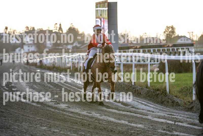 20251102-162000-DSC_2638