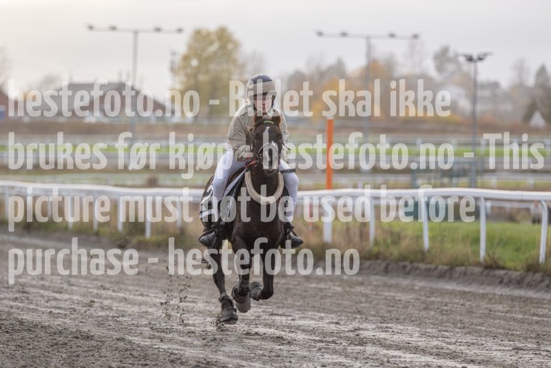 20251102-162538-DSC0452