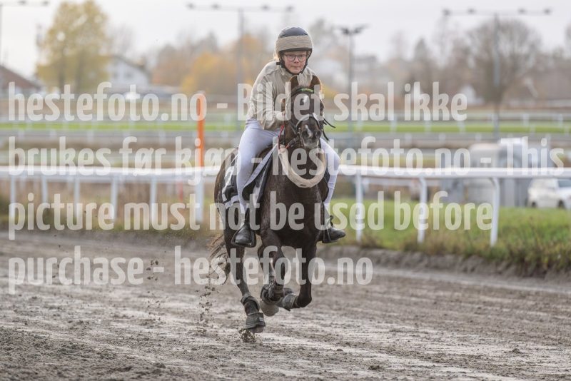 20251102-162538-DSC0456