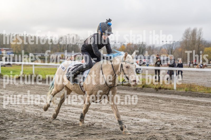 20251102-162542-DSC0469