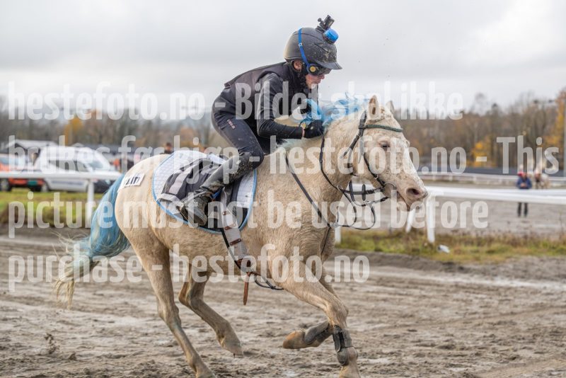 20251102-162542-DSC0471