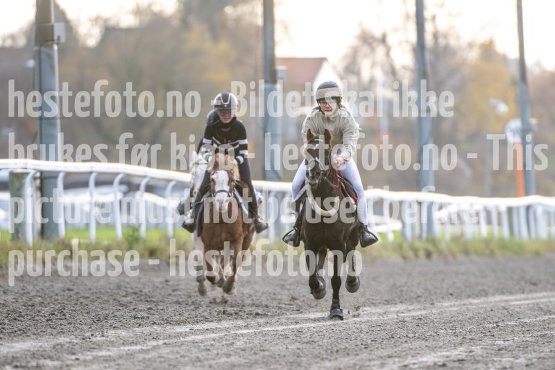 20251102-162545-DSC_2744