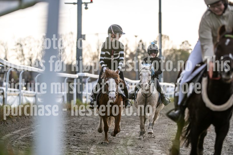 20251102-162553-DSC_2798