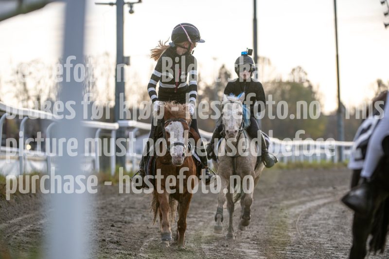 20251102-162553-DSC_2804