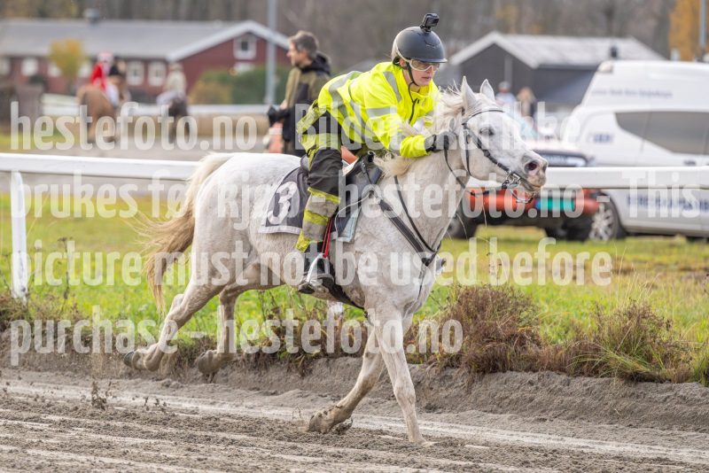 20251102-163058-DSC0490