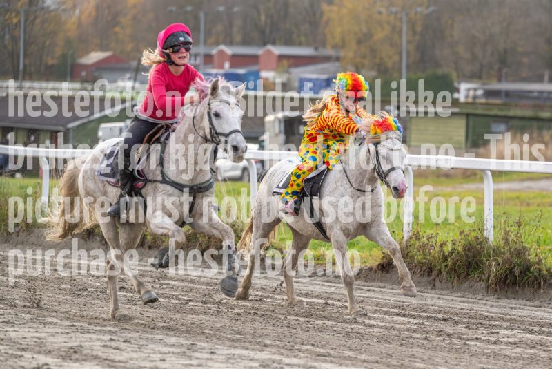 20251102-163100-DSC0494