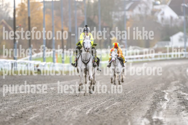 20251102-163100-DSC_2894