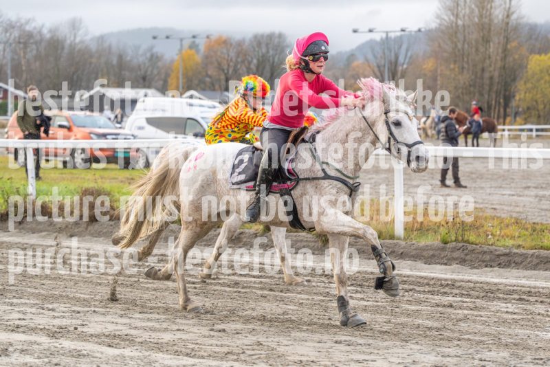 20251102-163101-DSC0497