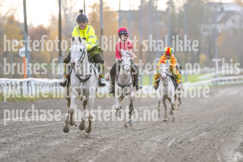 20251102-163103-DSC_2925