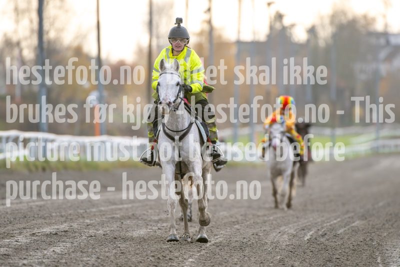 20251102-163105-DSC_2944