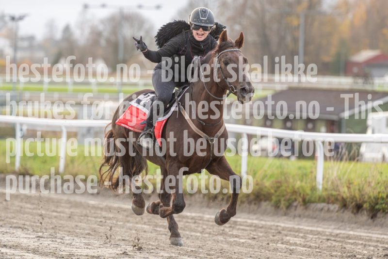 20251102-163108-DSC0506