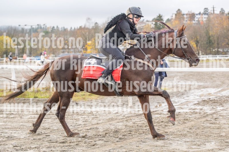 20251102-163110-DSC0508