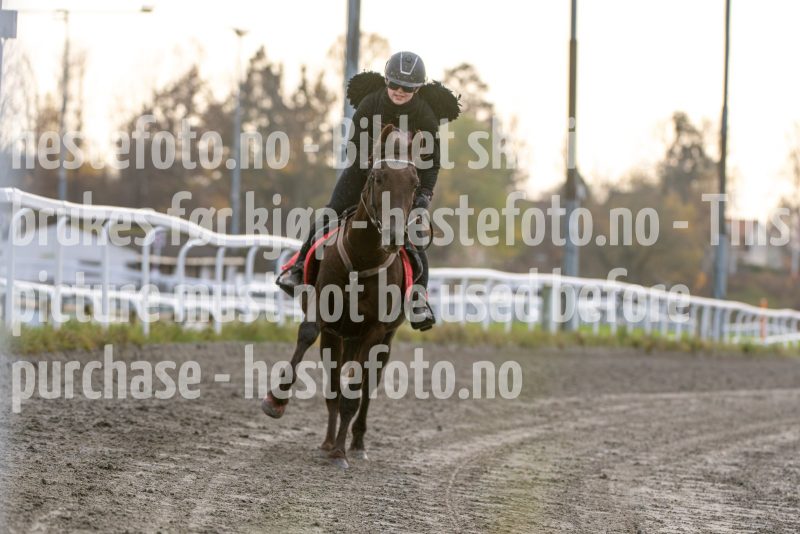 20251102-163123-DSC_3092