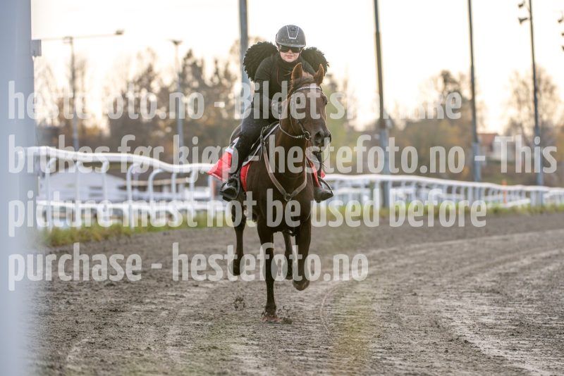 20251102-163123-DSC_3107