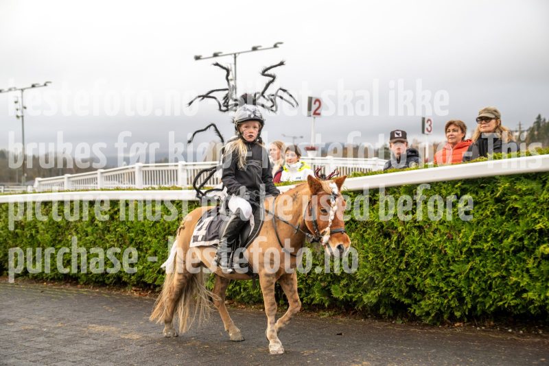 20251102-163918-DSC_3284