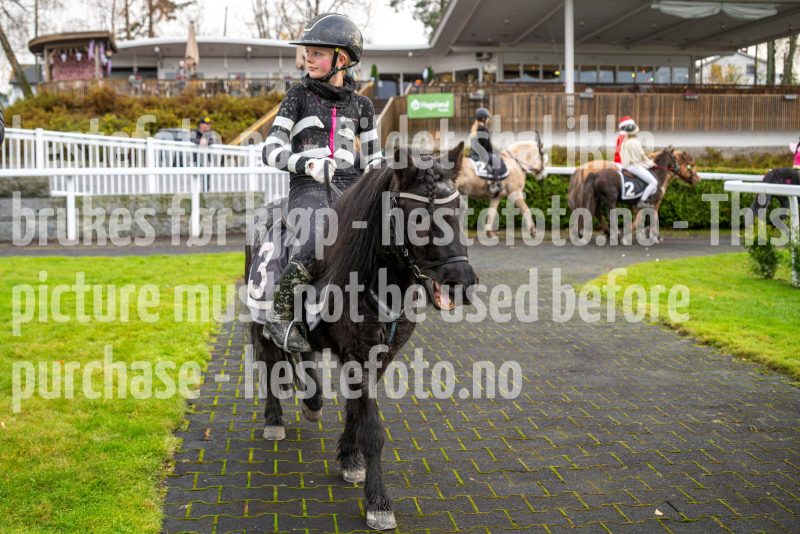 20251102-163932-DSC_3319