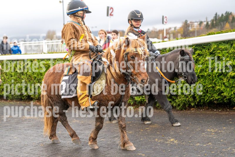 20251102-164004-DSC_3394