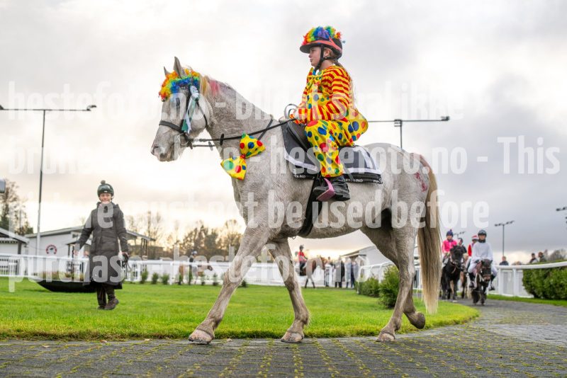 20251102-164016-DSC_3432