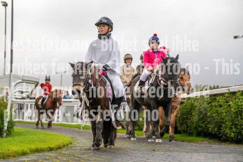 20251102-164023-DSC_3442