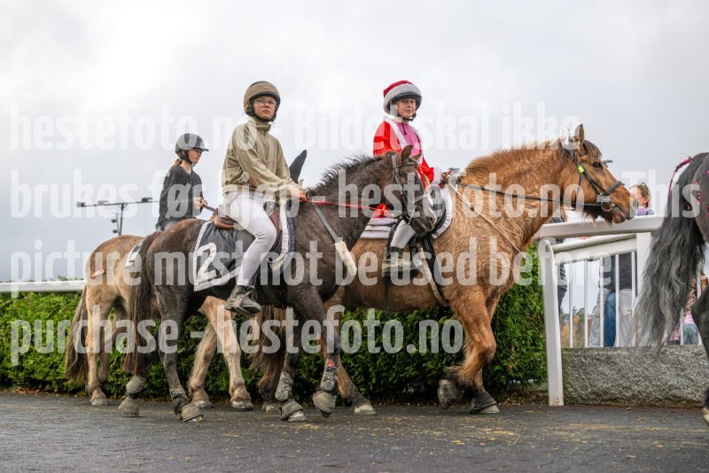 20251102-164031-DSC_3529