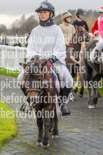 20251102-164041-DSC0670