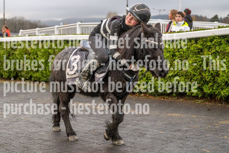 20251102-164103-DSC_3610