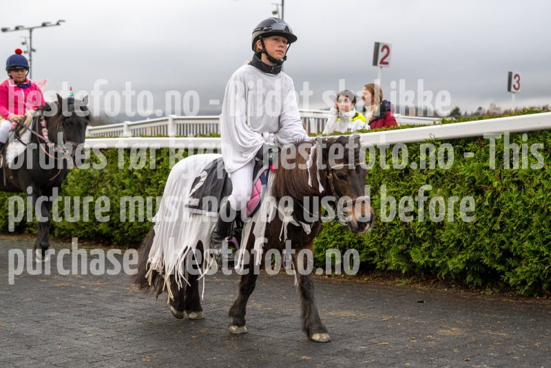 20251102-164137-DSC_3708