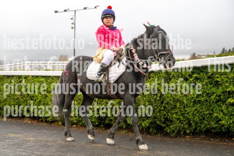 20251102-164140-DSC_3719