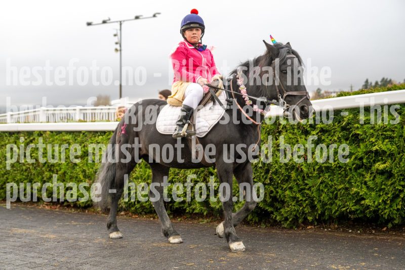 20251102-164140-DSC_3722