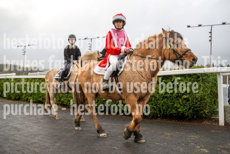 20251102-164144-DSC_3742