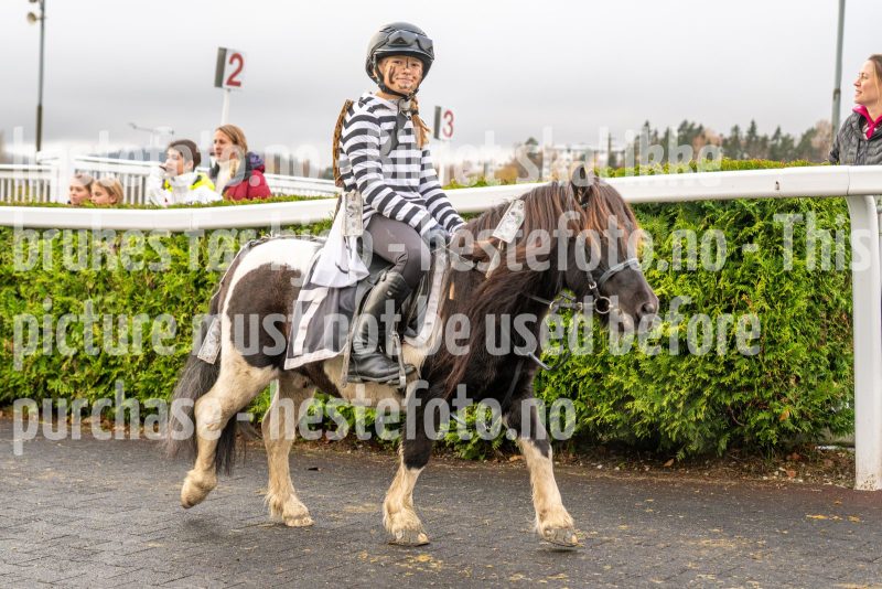 20251102-164249-DSC_3810