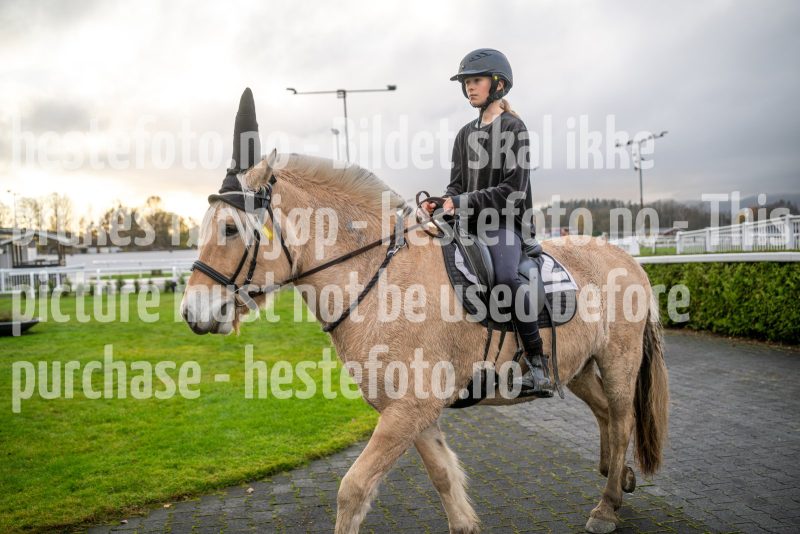 20251102-164311-DSC_3892