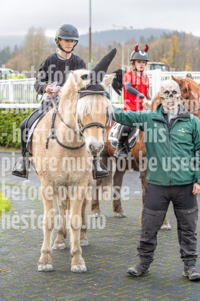 20251102-164435-DSC0727