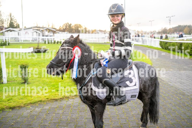 20251102-164514-DSC_4103