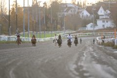 20251102-161601-DSC_2079