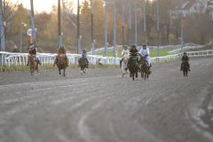 20251102-161607-DSC_2141