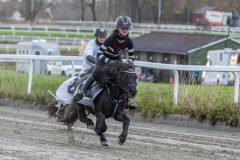 20251102-161609-DSC0402