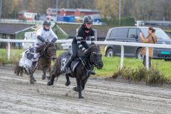 20251102-161609-DSC0407