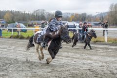 20251102-161613-DSC0417