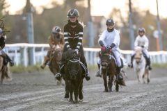 20251102-161616-DSC_2237