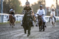 20251102-161617-DSC_2251