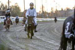 20251102-161621-DSC_2285