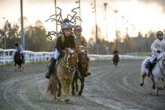 20251102-161623-DSC_2313