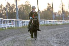 20251102-161632-DSC_2375