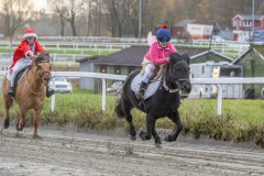 20251102-161949-DSC0424