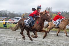 20251102-161951-DSC0439