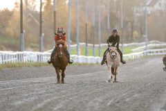 20251102-161951-DSC_2525