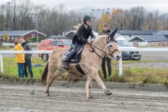 20251102-161953-DSC0442