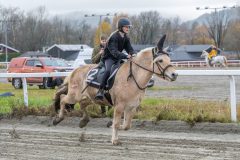 20251102-161953-DSC0443