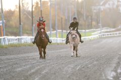 20251102-161953-DSC_2553